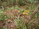 dsc00547